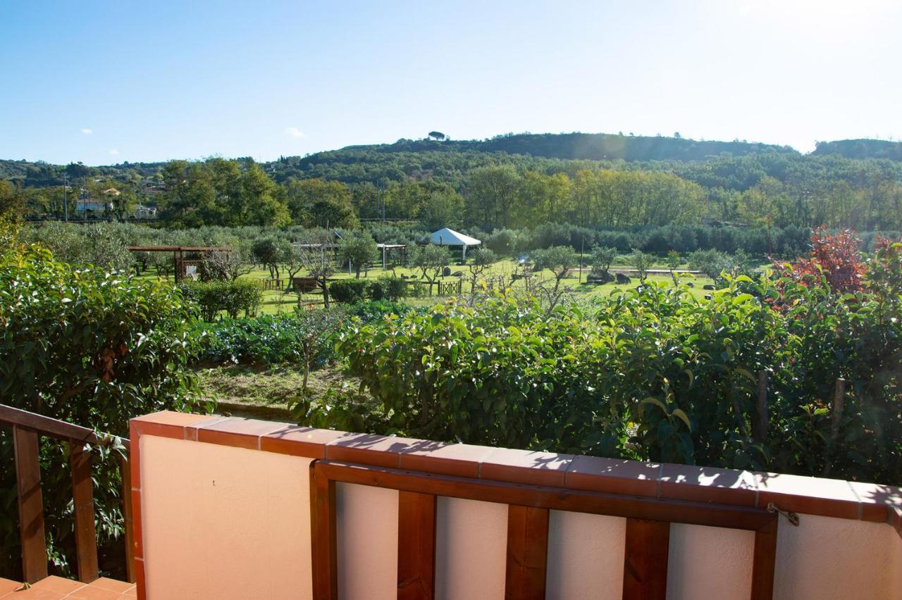 أسشيا Iscairia Country House المظهر الخارجي الصورة